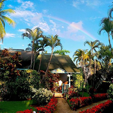 Las Palmas Eco Residence Las Terrenas Buitenkant foto